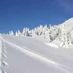 Ebners Traeumerei *