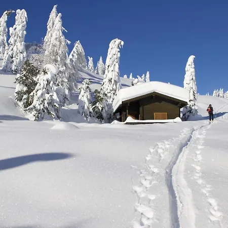 Ebners Traeumerei Daire *